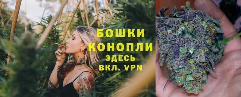 мориарти наркотические препараты  где купить наркоту  Бологое  МАРИХУАНА Bruce Banner 